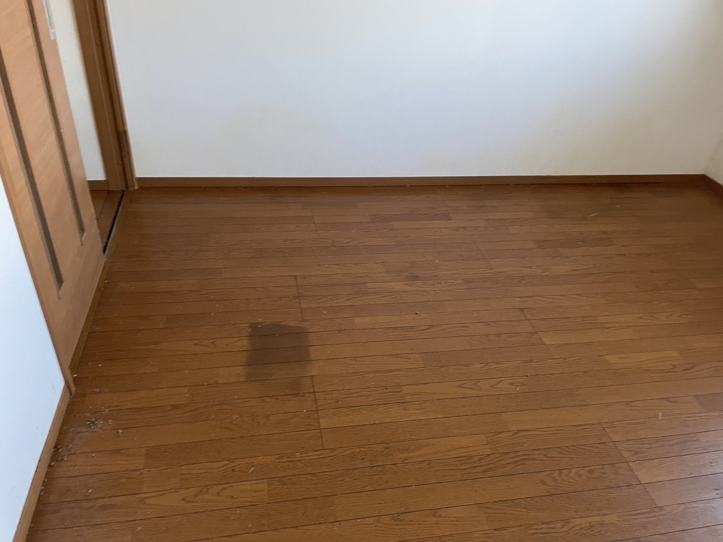 東京都江東区のゴミ屋敷の片付け、散乱していたペットのフンと汚れた床を掃除しキレイになった居間
