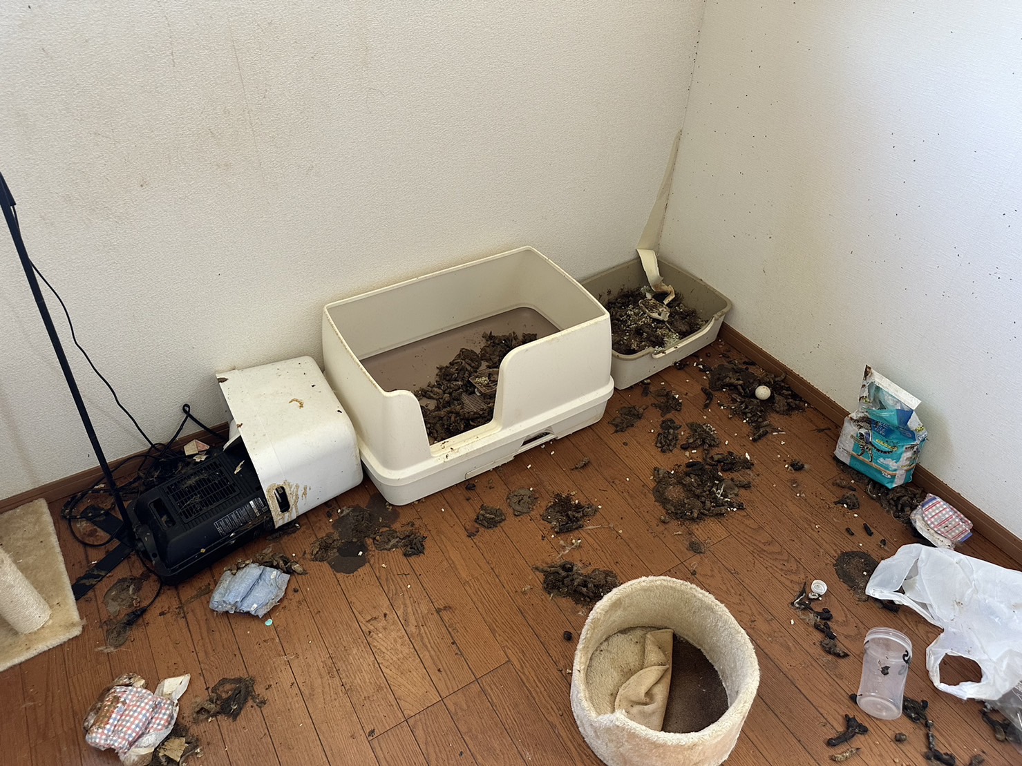 東京都江東区のゴミ屋敷の片付け、ペット汚れで悪臭を放つ居間