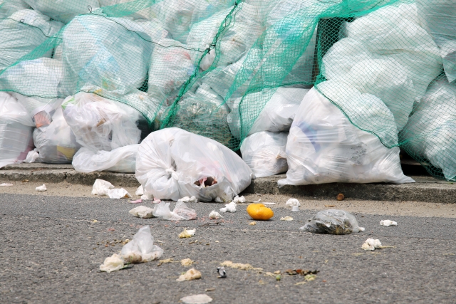 ゴミ出しを前日の夜にすると高確率でバレる