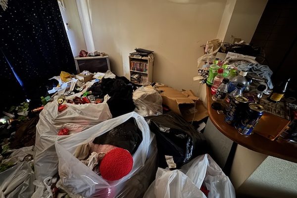 東京都中野区の害虫が目立つリビング